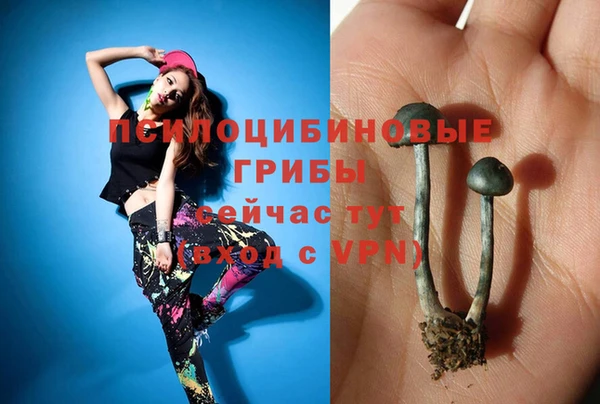 mdpv Лиски
